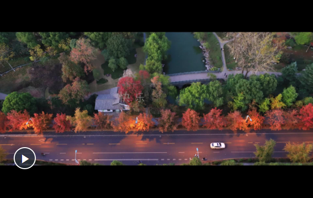 1574993642795430.png `OF}@AS84@KHGL[_NXPS0HD.png